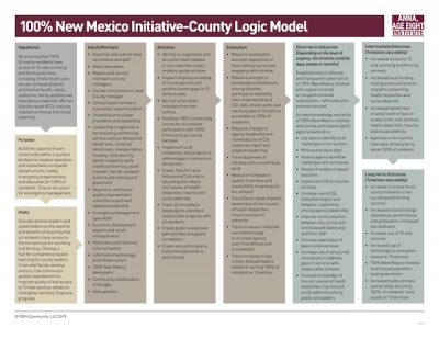AAEI County Logic Model